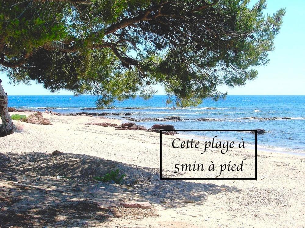 Appartement Plage Et Nature Saint-Raphaël Extérieur photo